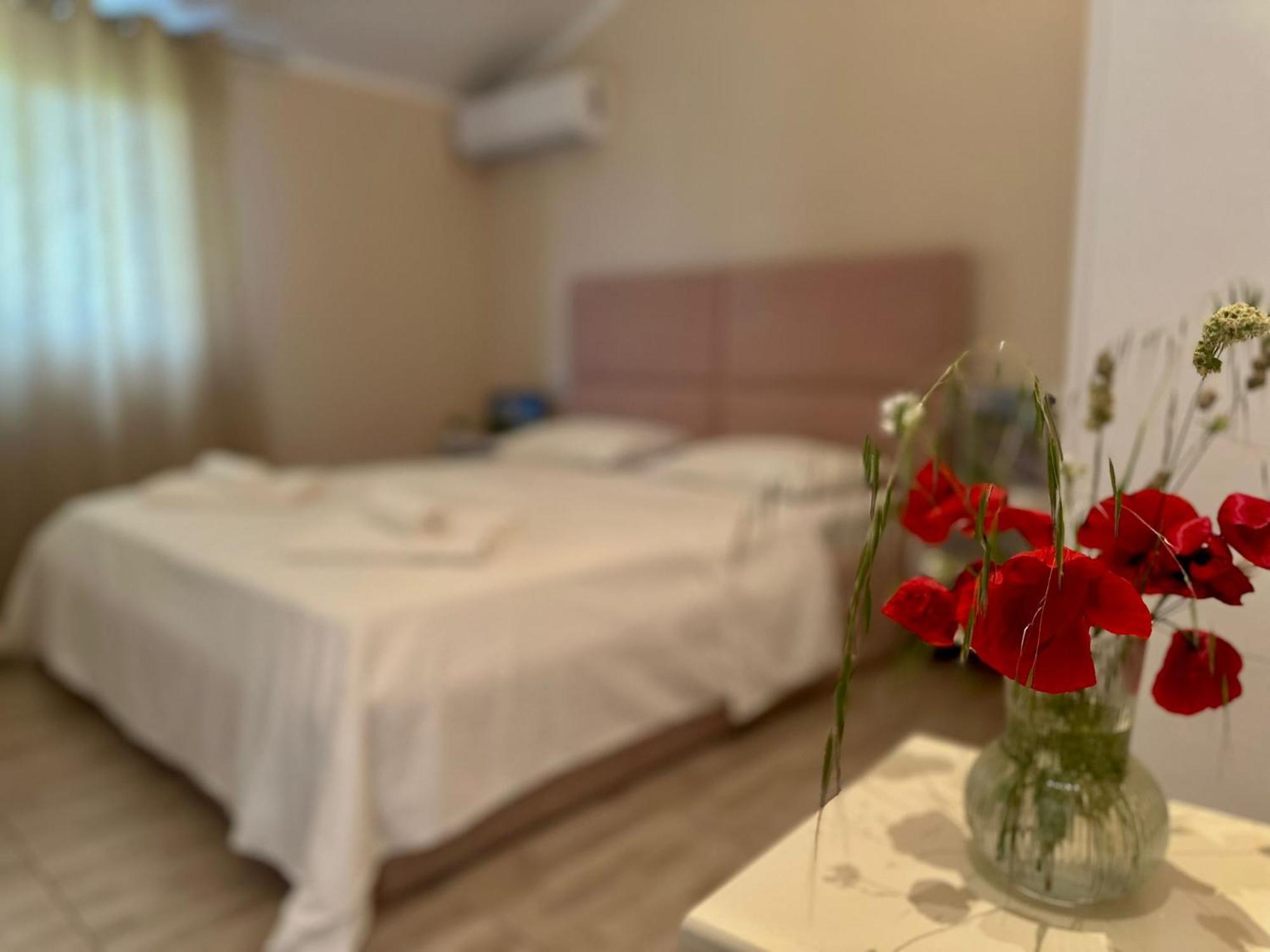 Hotel Villa Ballkan Grile Luaran gambar